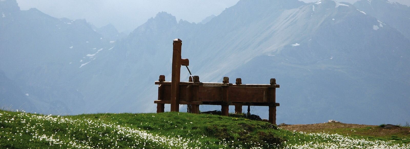Ein Brunnen auf einer Wiese.