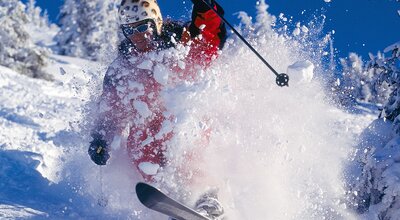 Ein Skifahrer rast eine Piste hinunter.