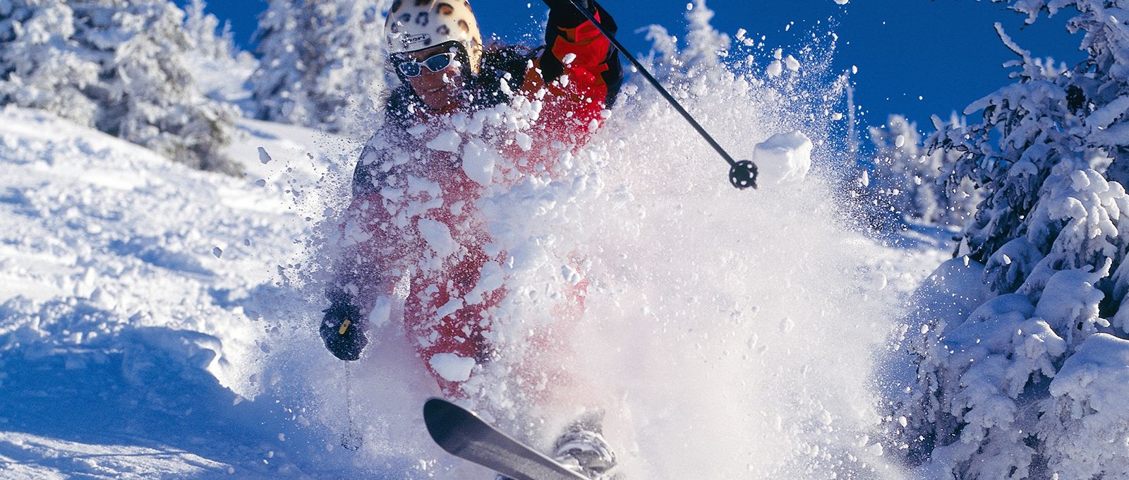 Ein Skifahrer rast eine Piste hinunter.